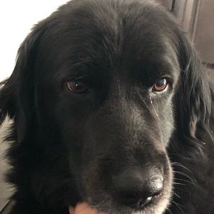 Meet your Posher, Katelyn